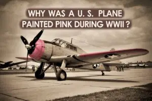 Why Was a U.S. Plane Painted Pink During WWII?